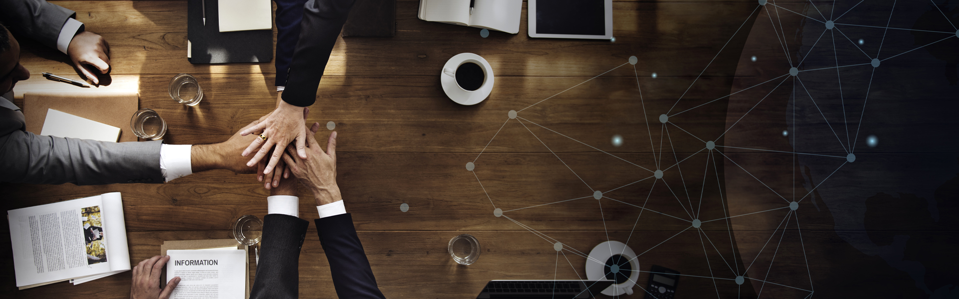 Marketing & Brand Development